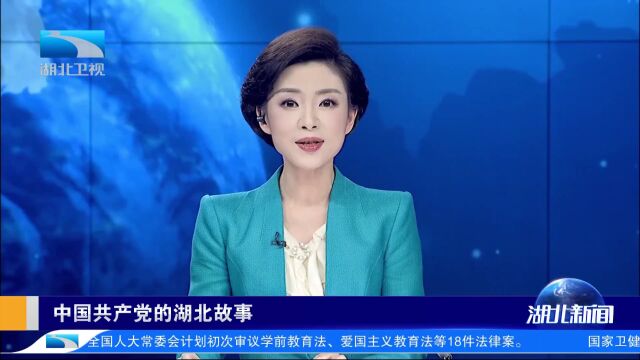 外宾在襄阳:出行方式看“中国速度”