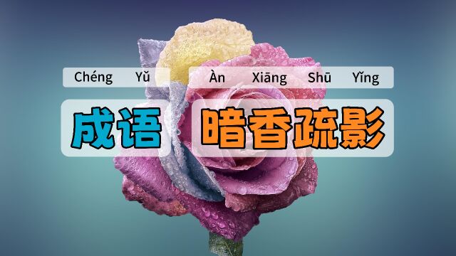 暗香疏影|一一学语