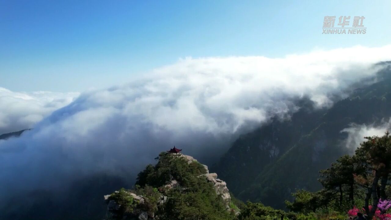 诗词里的遗产:庐山天下悠 云海入画来