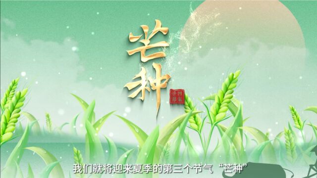 中医谈节气 | 芒种:饮食宜清淡 益气养脾不可缺