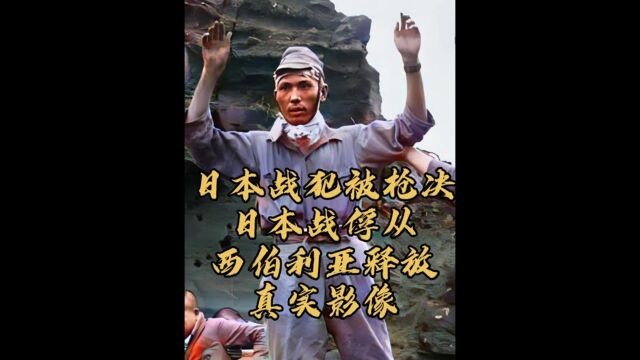 香港民众指认日本战犯,日本战犯被枪决真实影像,以及日本战俘从西伯利亚释放的画面下