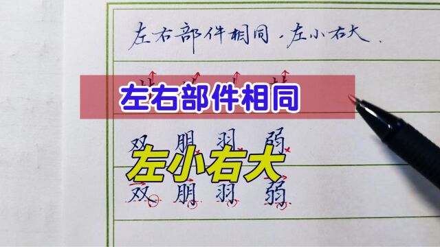 左右两边部件相同的字,左小右大这个规律你用对了吗?听完涨知识