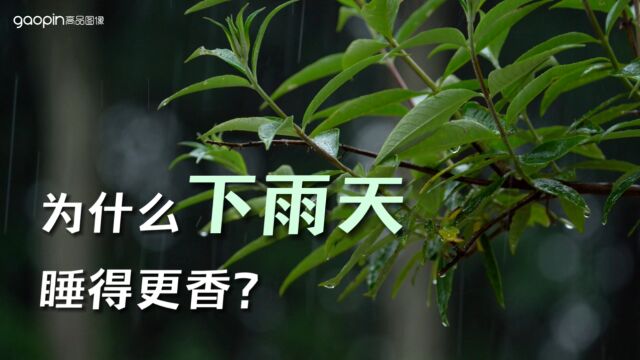 高品视界:为什么下雨天能睡得更香?