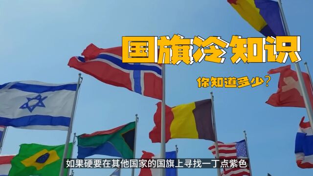 最全面的国旗冷知识!哪个国家的国旗长得一样?哪个国旗拥有最多颜色?