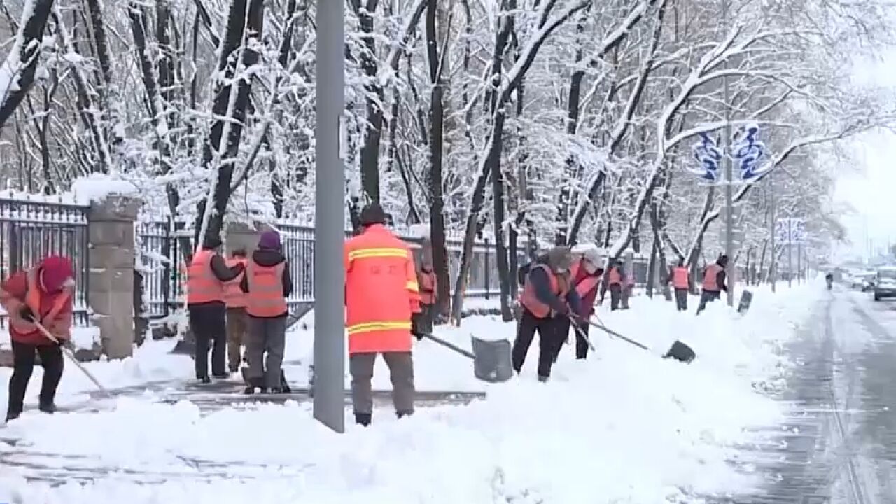 内蒙古:呼伦贝尔迎来暴雪天气,启动应急预案