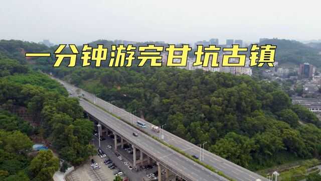 云游四海一分钟看完深圳龙岗吉化街道甘坑古镇,繁华都市里的宁静