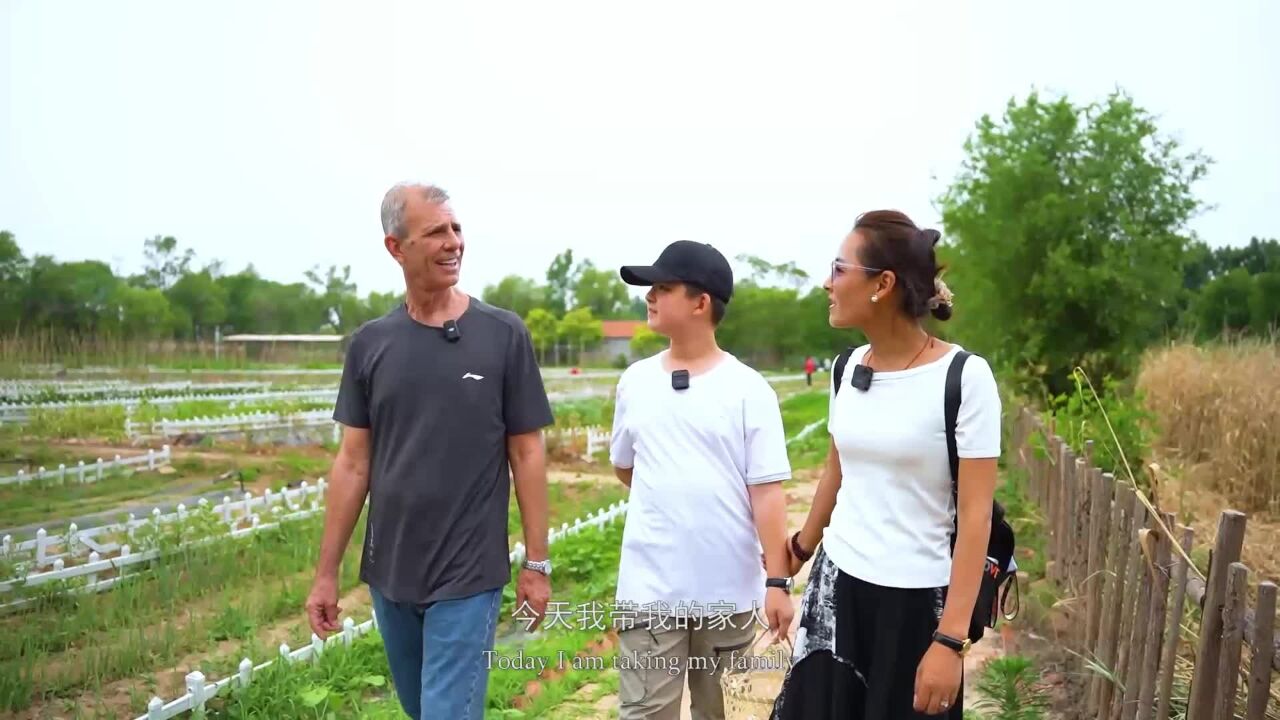 “洋”观中国|沉浸式体验胜利油田“碳中和林”之美