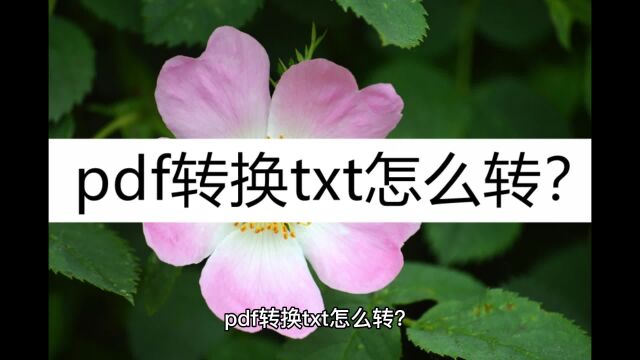 pdf转换txt怎么转?这样转换很简单