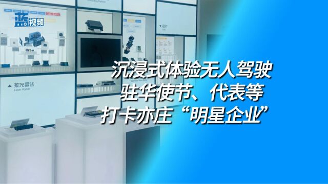 沉浸式体验无人驾驶 驻华使节、代表等打卡亦庄“明星企业”