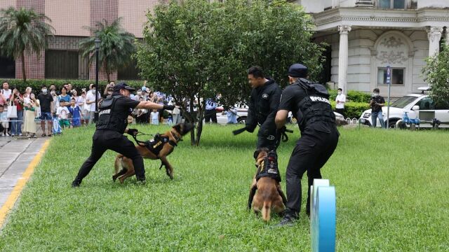 缉毒犬秀绝活,深圳海关举办国际禁毒日主题宣传活动