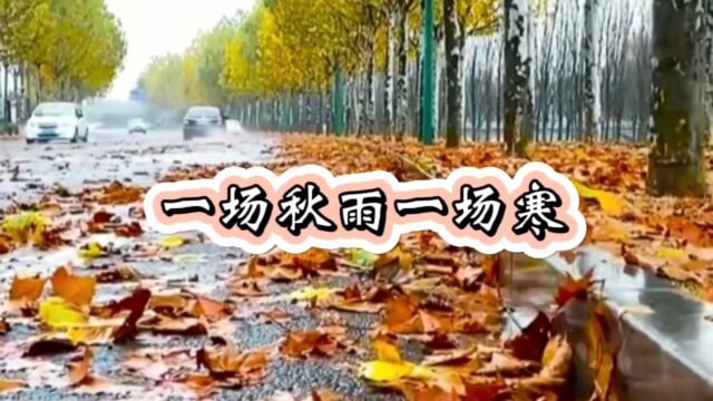 一场秋雨一场寒