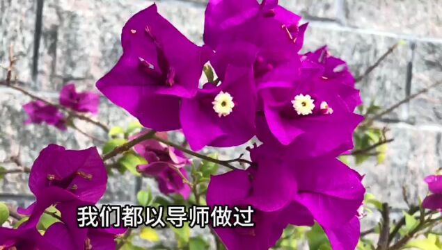 LD1377 为成长增值 (澳洲)本ⷮŠ菲斯克