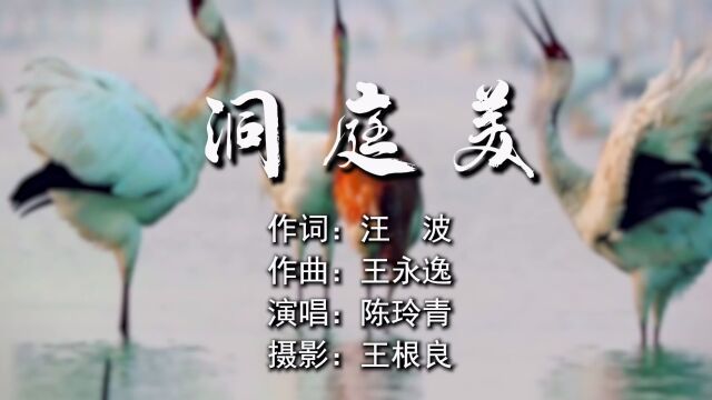 洞庭美 作词:汪波 作曲:王永逸 演唱:陈玲青 摄影:王根良