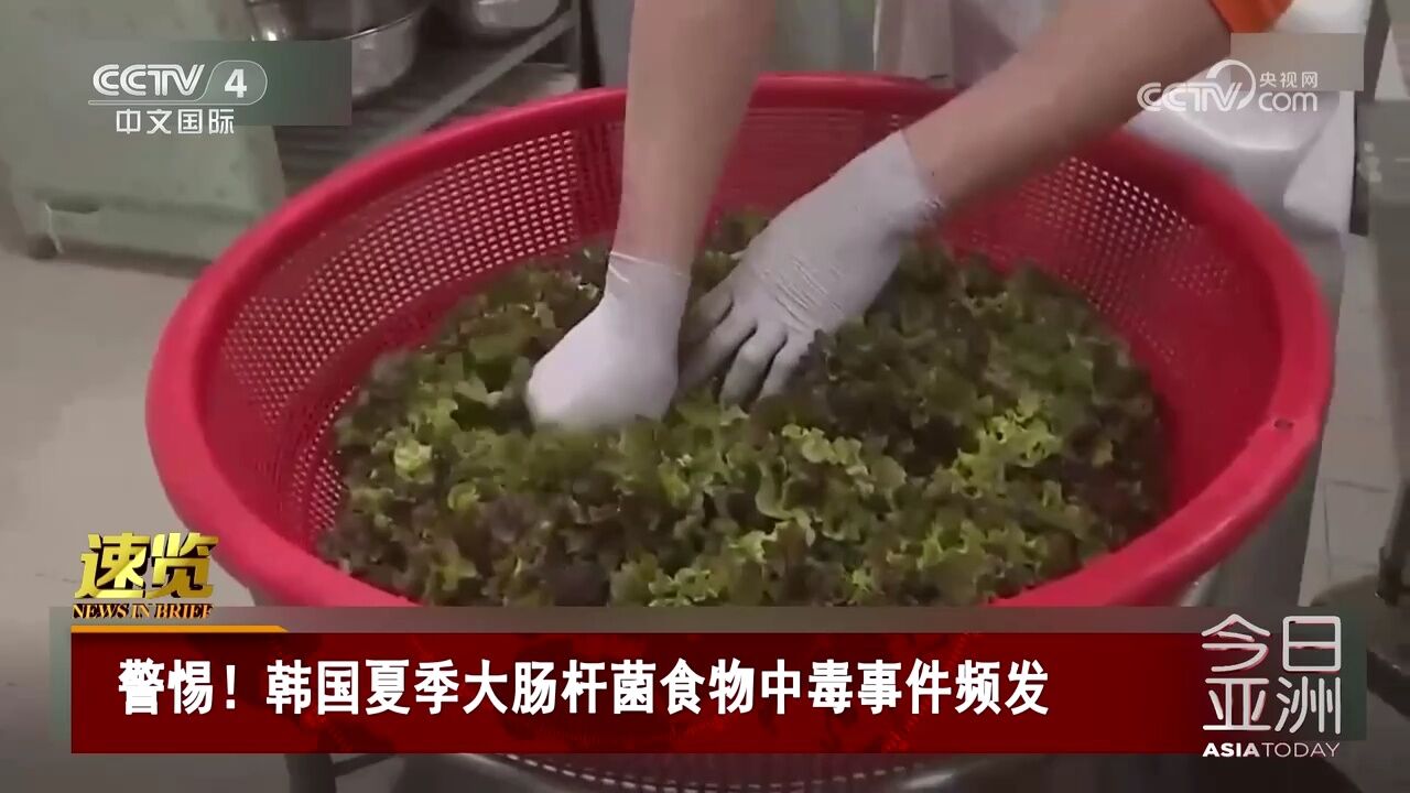 警惕!韩国夏季大肠杆菌食物中毒事件频发