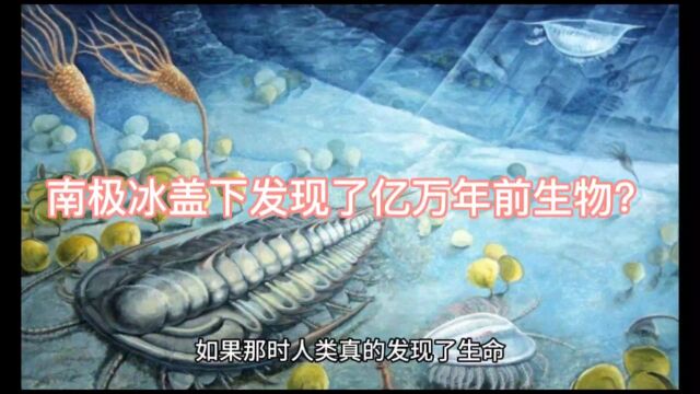 20世纪末人类钻孔勘探南极后为何又突然停止勘探?南极之下究竟隐藏着什么秘密?