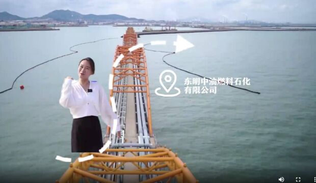 从“小炼油”到全省行业领军 东明石化:打造全省地炼产业减油增化、延链补链示范样板