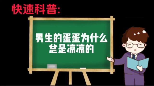 快速科普: 男生的蛋蛋为什么总是凉凉的?