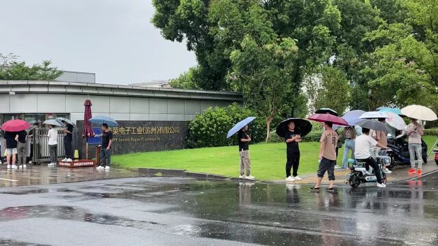 今年苏州行情怎么样呢?大雨天很多人冒雨排队等待面试的机会