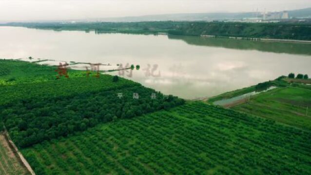 【黄河的记忆 儿时的味道】山西ⷥ𙳩™† “河谷一号”蜜桃熟了!