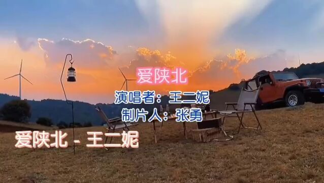 王二妮金曲 第19首《爱陕北》