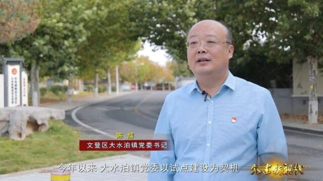 镇街书记谈党建|大水泊镇:四抓四促”提升村党组织“跨村联建”质效