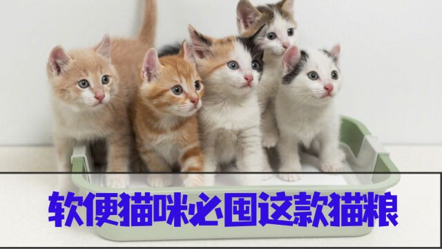 软便猫咪必囤这款猫粮,真的是软便克星