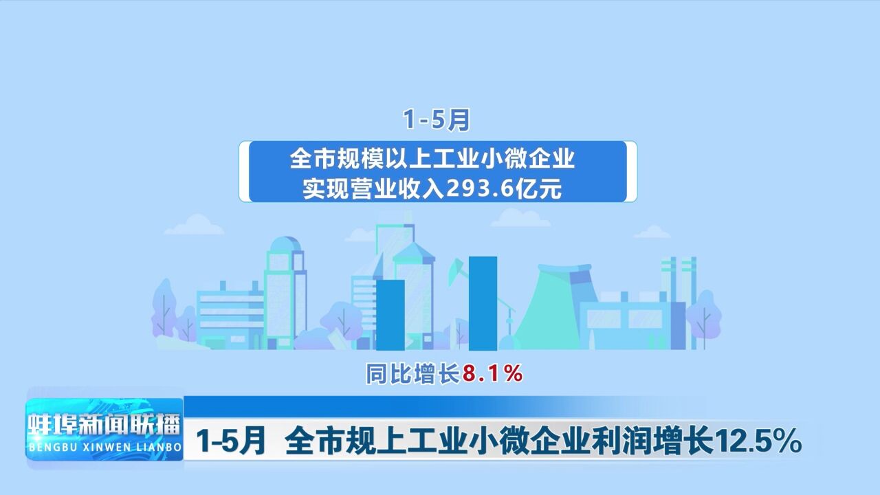 15月 全市规上工业小微企业利润增长12.5%