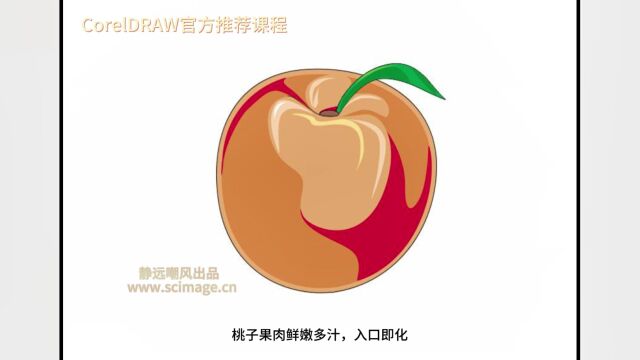 【教程】如何用CorelDRAW软件制作水蜜桃【宋元元博主】