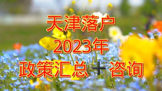 天津落户政策2023年办理条件