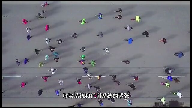 为什么跑半马容易猝死?