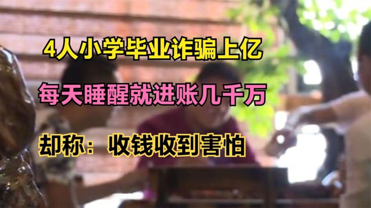 4人小学毕业诈骗上亿,每天睡醒就进账几千万,却称收钱收到害怕