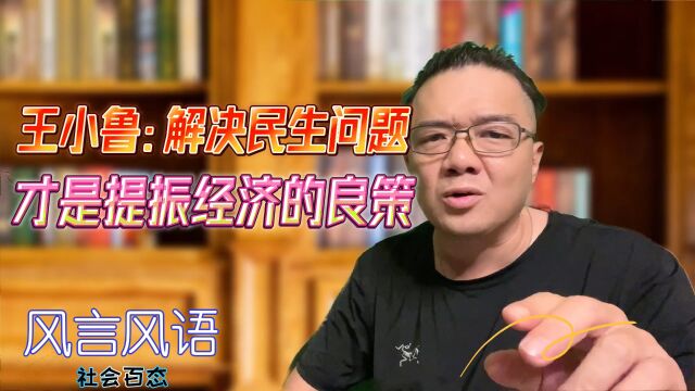 王小鲁:解决民生问题才是提振经济的良策