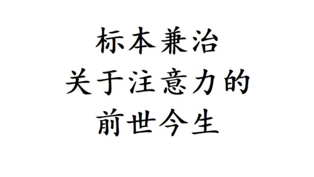 标本兼治关于注意力的前世今生