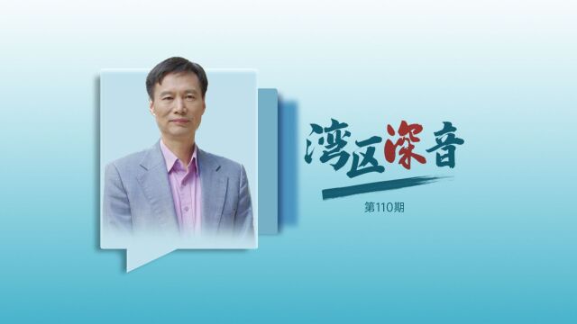 湾区深音|傅才武:深圳文化产业是文化和科技的结合