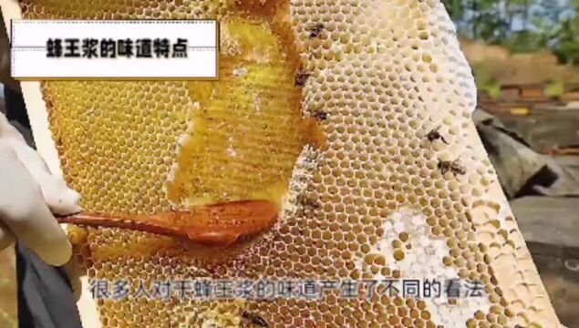 蜂王浆甜吗?蜂王浆的味道特点科普