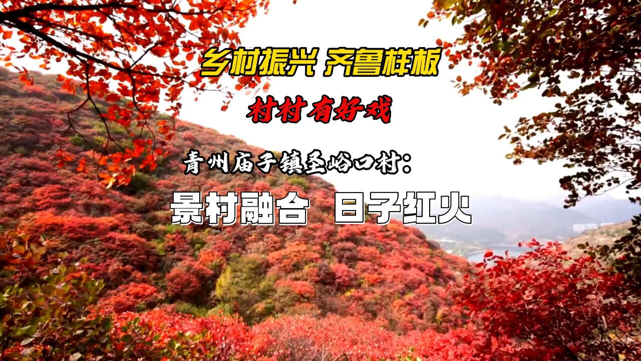 乡村振兴齐鲁样板——村村有好戏丨青州庙子镇圣峪口村:景村融合 日子红火