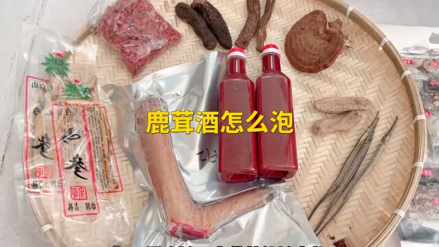 男女都爱的鹿茸酒怎么泡,喝鹿茸酒什么效果,每次喝多少有效