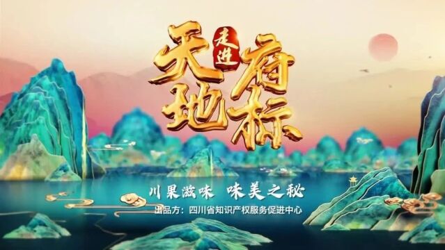 2023走进天府地标|今晚播出《川果滋味 味美之秘》