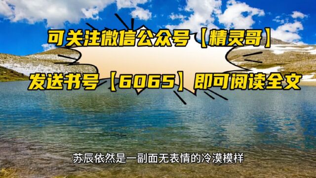 《社牛达人苏辰》全文免费阅读(社牛达人小说)○无弹窗整篇