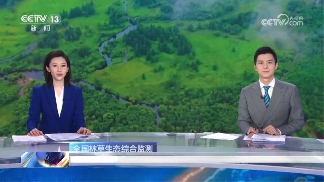 【林家说事】全国林草生态综合监测 我国林草资源总量稳步增加