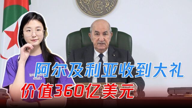 与美特使同时访华,阿尔及利亚收到中方送大礼,价值360亿美元