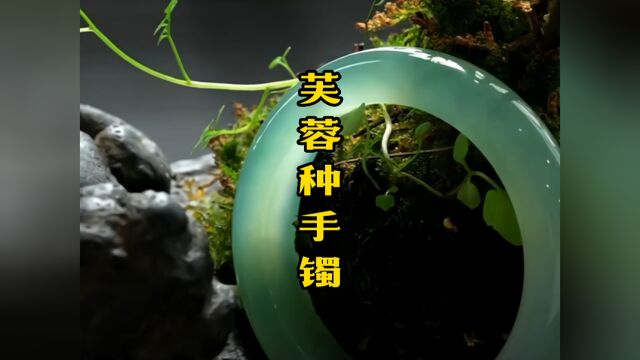 这支芙蓉种手镯起货有没有让你一见钟情呢?