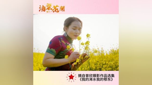 影视→摄影+视频.油菜花开,是曾欣十几年来拍摄的一个鄂东人物专题.#曾欣摄影 #油菜花