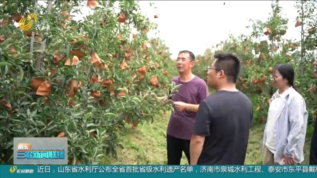 诸城永辉生态农场:大力发展乡村旅游,让更多农民吃上“旅游饭”