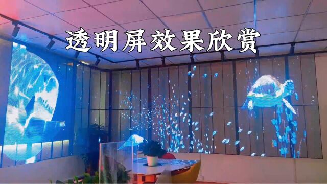 LED透明屏效果欣赏