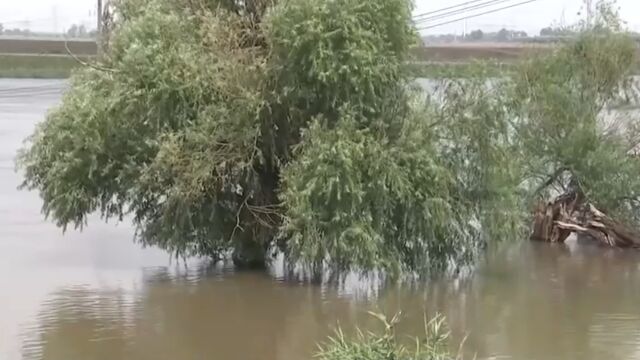 应对洪水过境,天津全市做好防御