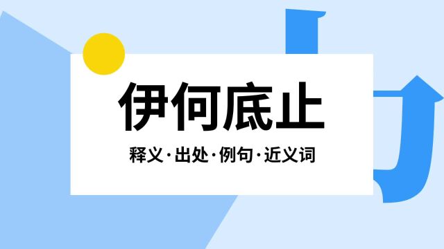 “伊何底止”是什么意思?