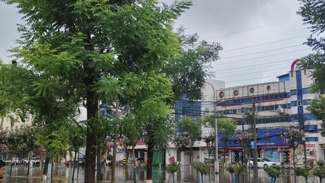 雨后的尉氏县城格外美丽!