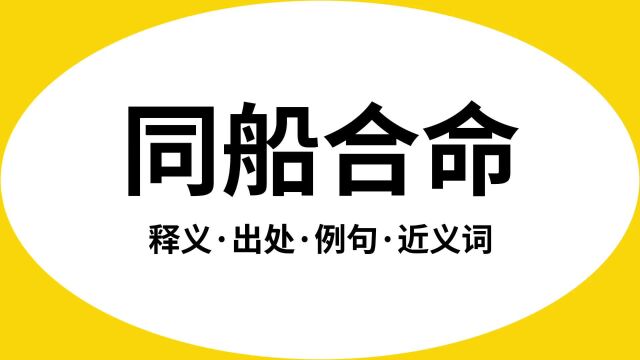 “同船合命”是什么意思?