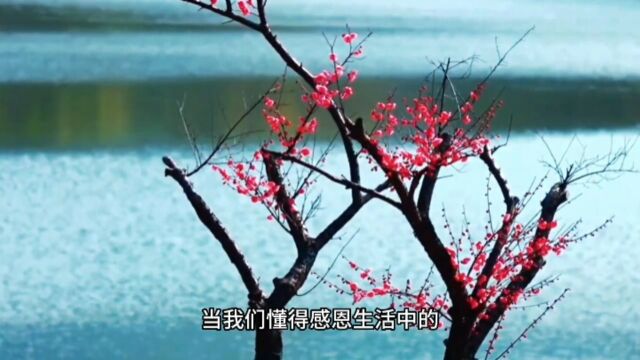 静心悦读:人生是一场美丽的修行